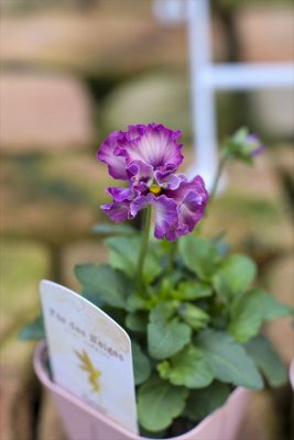 写真 2025-12-03 15 12 35_R_1