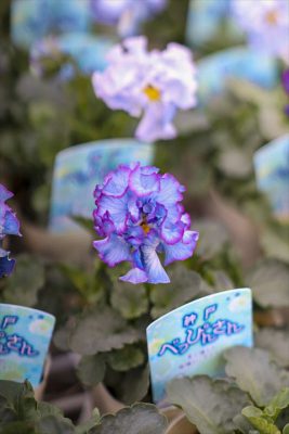 写真 2025-12-11 16 13 27_R_1