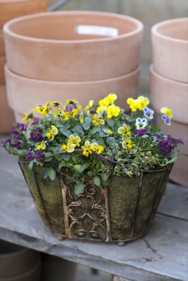 写真 2025-12-18 16 17 24_R_1