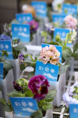 写真 2025-12-11 16 17 26_R_1