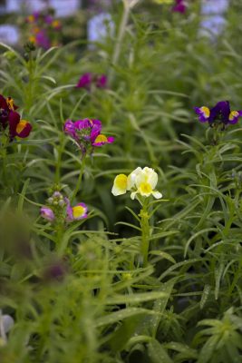 写真 2025-12-20 9 42 24_R_1