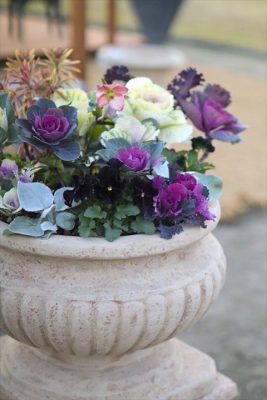 写真 2025-12-12 16 55 19_R_1