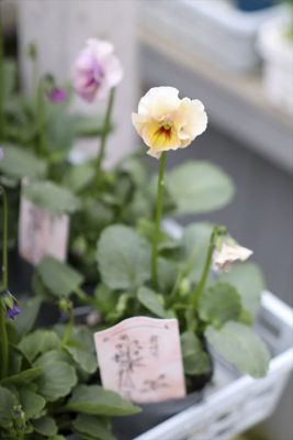 写真 2025-12-24 11 52 47_R_1