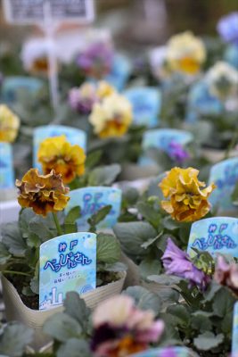 写真 2025-12-04 16 51 59_R_1