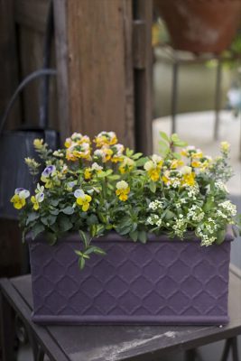 写真 2025-12-25 16 21 24_R_1