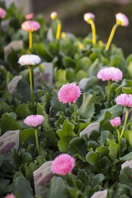 写真 2025-12-05 16 50 09_R_1