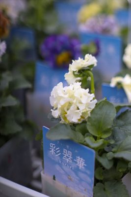 写真 2025-12-11 16 16 43_R_1