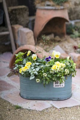 写真 2025-12-27 16 31 10_R_1