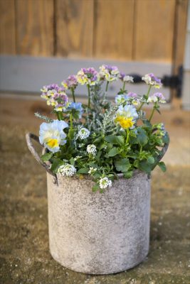 写真 2025-12-16 16 29 05_R_1