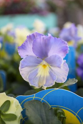 写真 2025-12-18 15 38 24_R_1