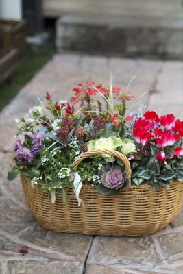 写真 2025-12-05 16 45 02_R_1