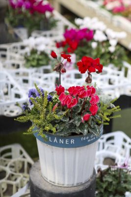 写真 2025-12-22 9 41 12_R_1