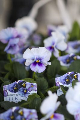 写真 2025-12-03 15 20 03_R_1