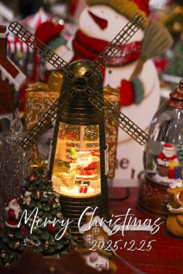 写真 2025-11-05 15 07 52_R_1 のコピー