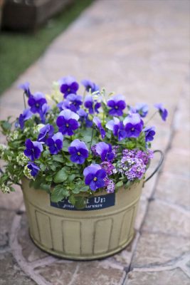 写真 2025-12-17 16 09 53_R_1