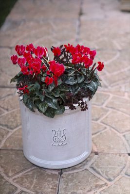 写真 2025-12-19 16 09 32_R_1