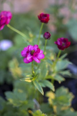 写真 2025-12-16 16 23 46_R_1