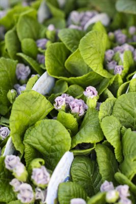 写真 2025-12-10 16 24 55_R_1