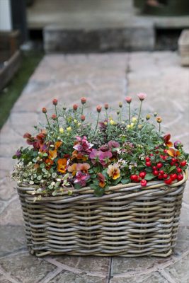 写真 2025-12-22 8 04 45_R_1