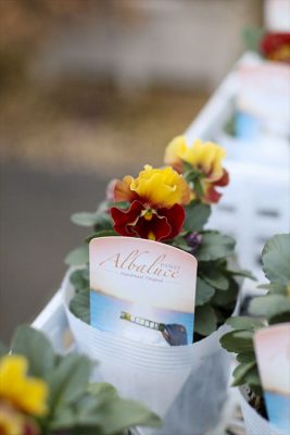 写真 2025-12-04 16 53 32_R_1