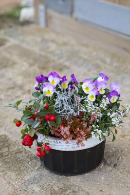 写真 2025-12-03 16 45 14_R_1