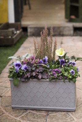 写真 2025-12-25 16 23 44_R_1