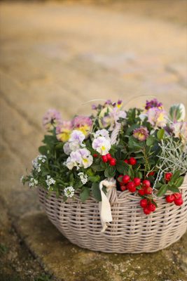 写真 2025-12-10 16 37 35_R_1