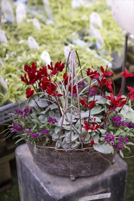 写真 2025-12-25 16 20 23_R_1