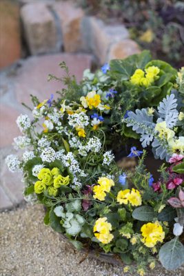 写真 2025-12-06 16 39 26_R_1