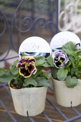 写真 2025-12-10 16 28 18_R_1