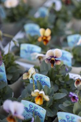 写真 2025-12-09 17 02 40_R_1