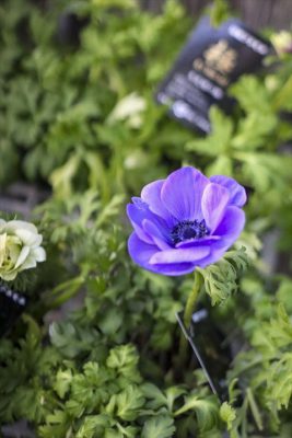 写真 2025-12-19 16 20 40_R_1