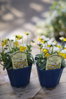 写真 2025-12-08 11 06 58_R_1