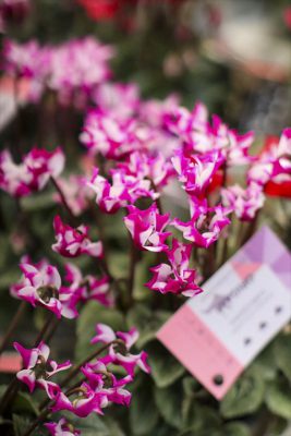 写真 2025-11-26 16 22 04_R_1