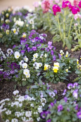 写真 2025-12-12 16 38 47_R_1