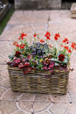 写真 2025-12-26 16 22 56_R_1_1