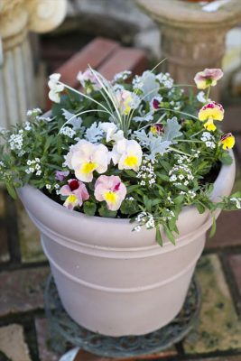 写真 2025-12-06 16 43 37_R_1