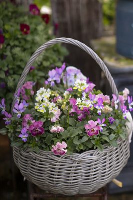 写真 2025-12-20 9 44 24_R_1