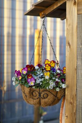 写真 2025-12-12 16 37 54_R_1