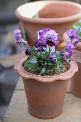 写真 2026-01-22 16 00 21_R_1