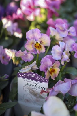 写真 2026-01-17 16 02 41_R_1