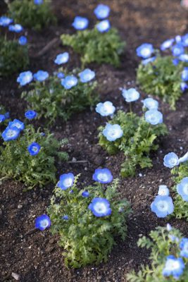 写真 2026-01-31 16 39 14_R_1