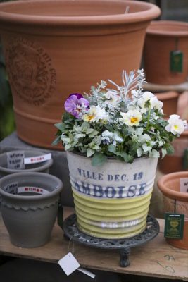 写真 2026-01-10 16 39 59_R_1