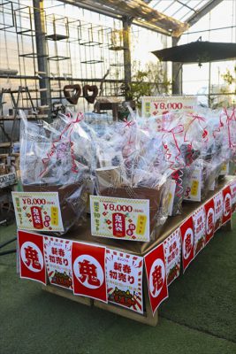 写真 2026-01-03 16 46 20_R_1