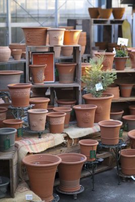 写真 2026-01-28 16 53 13_R_1