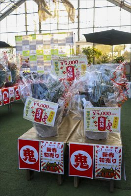 写真 2026-01-03 16 45 51_R_1