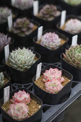 写真 2026-01-29 16 30 08_R_1