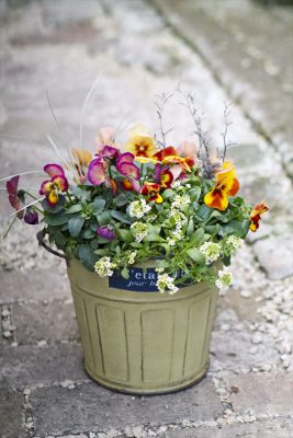 写真 2026-01-11 16 20 56_R_1