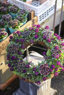 写真 2026-01-18 16 24 22_R_1