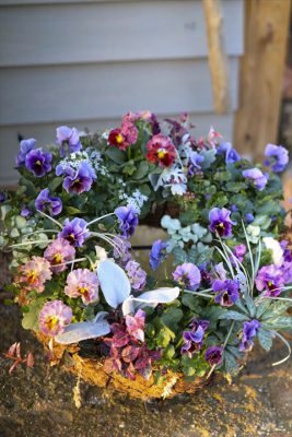 写真 2026-01-06 16 46 39_R_1